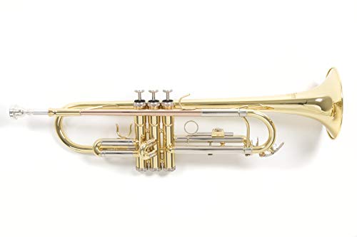 Roy Benson Bb Trumpet Tr-202 (Costruzione In Ottone Resistente, Con Custodia Rettangolare Leggera, Set Di Zaini, Valvole In Acciaio Inossidabile Di Qu