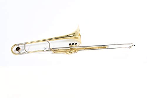 Roy Benson Bb Valve Trombone Vt-227 (Campana In Ottone Premium Da 8", Tubo Principale E Archetto In Alpacca, 3 Valvole In Acciaio Inox, Strumento Di P