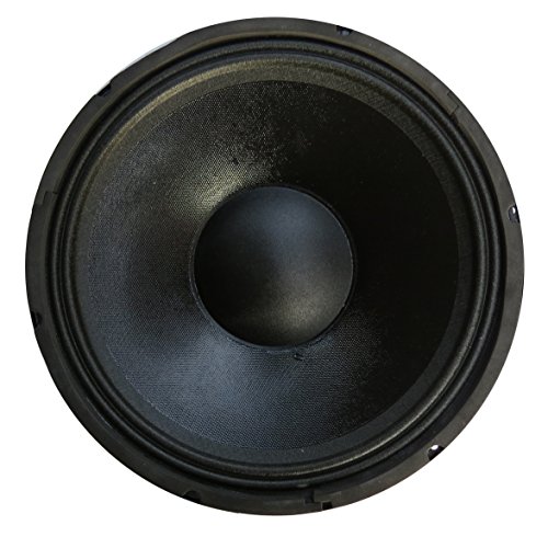 Woofer Da 250W A 8 Ohm