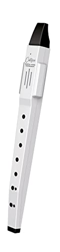 Carry-On By Blackstar Digital Wind Instrument Bianco - 10 Voci, Batteria Ricaricabile Usb Integrata, Uscita Cuffie Per La Pratica Silenziosa, Midi Su 