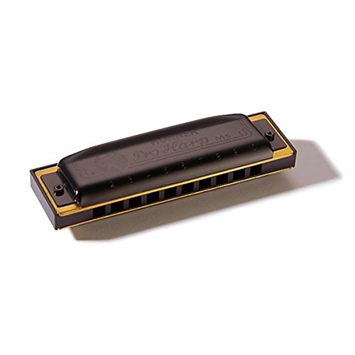 Armonica Hohner M564126 Pro Harp Ms 20 B Si