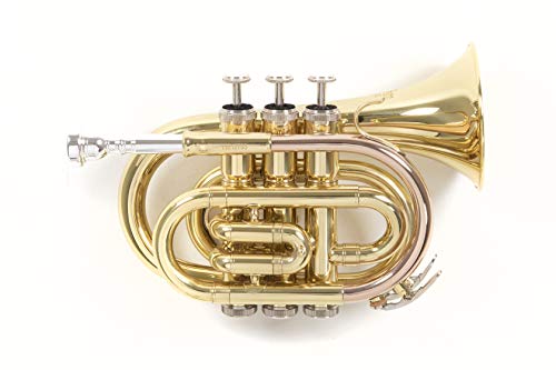 Roy Benson Bb Pocket Trumpet Pt-101 (Campana In Ottone Realizzata Con Precisione, Custodia Rettangolare Leggera Ottimizzata Per Il Trasporto, Per Il M