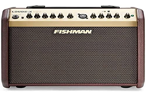 Fishman Loudbox Mini Da 60 W, Amplificatore Per Chitarra Acustica Bluetooth, Marrone E Oro