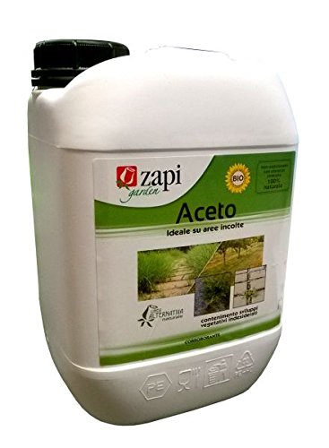 Zapi Aceto Concentrato Bio Lt.5
