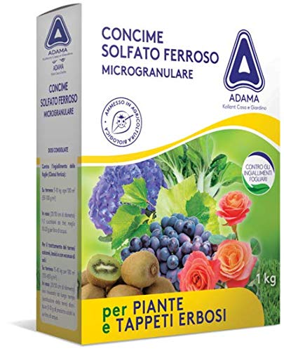 Adama Concime Solfato Ferroso Microgranulare 1 Kg Contro Clorosi Prato Bio