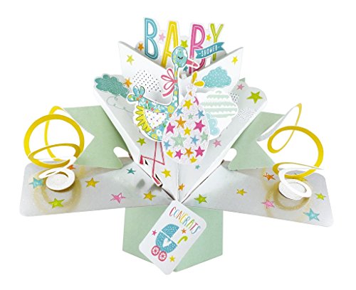 Second Nature Pop Ups "Cicogna Baby Shower Carta