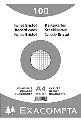 Exacompta 10206E Cartoncini Bristol, 21X29 Cm, Bianco
