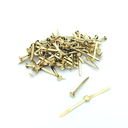 Alevar Fermacampioni Av3363/41, 41 Mm, Confezione Da 100 Pezzi