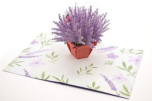 Asvp Shop Biglietto Di Auguri Pop-Up 3D Con Lavanda, Per Festa Della Mamma, Primavera, Compleanno, Laurea, San Valentino, Matrimonio, Anniversario, Ri