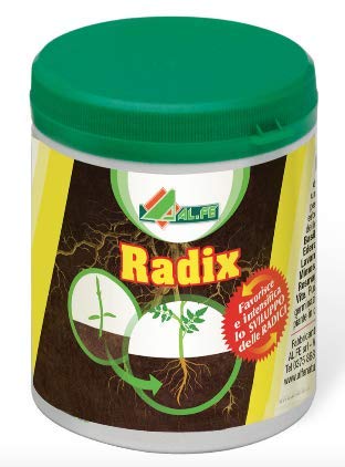 Radix Al.Fe Radicale Organico Azotato 80 Ml