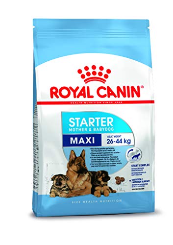 Royal Canin Shn Maxi Starter Mother & Babydog - Dry Dog Food - 4 Kg