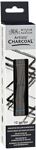Winsor & Newton Assortimento 12 Fusaggini