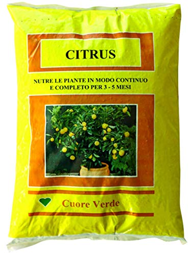 Concime Specifico Per Limoni Agrumi E Aranci Citrus 5Kg Con Sequestrene A Lenta Cessione - Questo Prodotto E' Disciplianto Dal Regolamento (Ue) 2019/1