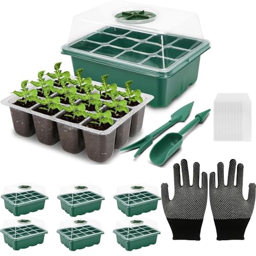 Vdyxew- Mini Serra Per Fino A 12 Piante, Per Ogni Serra Da Interni, Per Serra Da Interni, Colore: Verde/Trasparente (6 Pezzi)