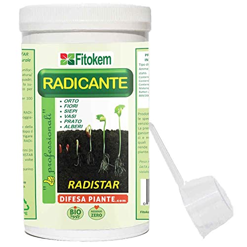 Fitokem | Radistar 800Gr Radicante Micorrize Bio - - Stimola La Produzione E La Crescita Naturale Di Radici - Radicante In Polvere Per Piante Talee Er