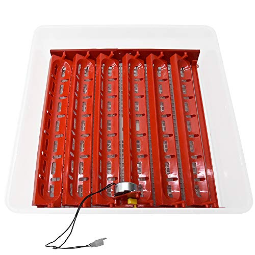 Cestello Ventilato Ibrido Girauova Vassoio 42 Posti Varie Specie Uova Oca Gallina Quaglia Fagiana Motore 220V