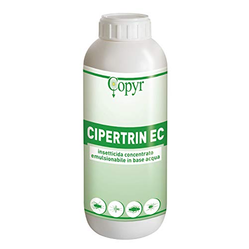 Copyr | Cipertrin Ec: Insetticida Concentrato Contro Insetti Volanti E Striscianti. Flacone Da 1 L X 3 Pezzi