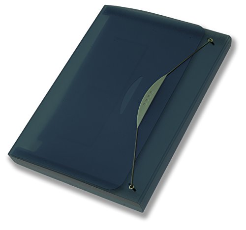 Fellowes Leonardi 40331 Cartelle Soffietto A 12 Scomparti, Formato Esterno 33 X 23 Cm, Grigio Fumè