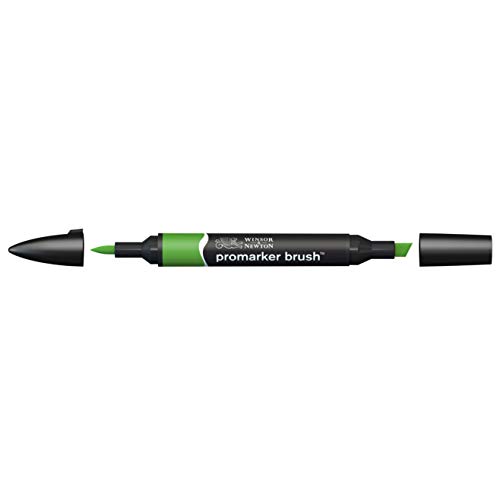 Winsor & Newton 0204068 - Penarello A Doppia Punta, Verde (Forest Green), Singolo, 1 Pezzo