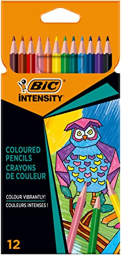 Bic Intensity, Matite Colorate Per Adulti, Fusto Triangolare, Colori Brillanti E Intensi, 12 Unità