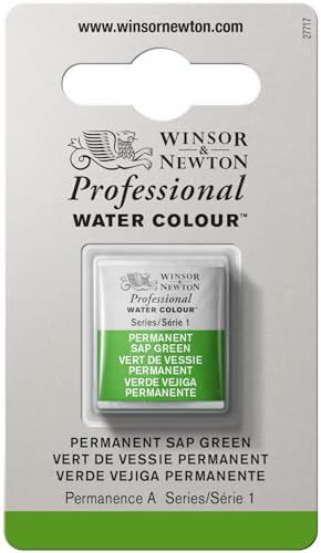 Winsor & Newton Professional - Vernici Ad Acquerello, Vivaci E Resistenti Alla Luce, Pigmenti Per Artisti, 1/2 Godet, Colore: Verde Vescica Permanente