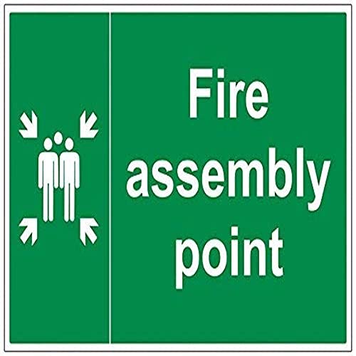 Vsafety 17003Bq-R Fire Assembly Point Sign, Fire Assembly Point Con Famiglia, Plastica Rigida, Paesaggio, 600 Mm X 400 Mm, Colore: Verde