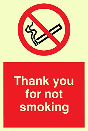 Viking Segni Ps6-A4P-Pv "Thank You For Not Smoking Sign, Sticker, Fotoluminescenti, 300 Mm Altezza X 200 Mm Larghezza