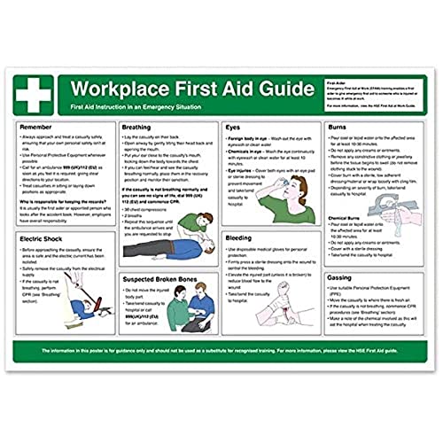 Vsafety A2Wc004 Workplace First Aid A2 Grafico A Parete, 594 Mm X 420 Mm