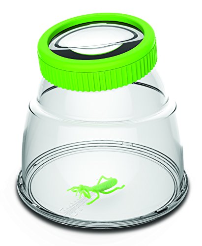 Edu Science 61024 Giant Bug/Insect Viewer