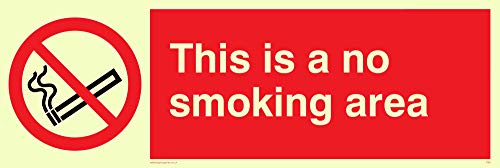 Viking Segni Ps9-L31-P "This Is A No Smoking Area Sign, Plastica, Semirigida, 100 Mm Altezza X 300 Mm Larghezza Fotoluminescenti