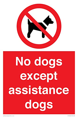 Cartello Con Scritta "No Dog Except Assistance Dog", 200 X 300 Mm, Formato A4P