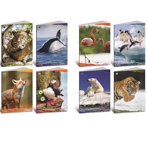 Attrezzatura Scolastica Marca Blasetti Modello Cf10 Quaderno Animali 100G A4 0B