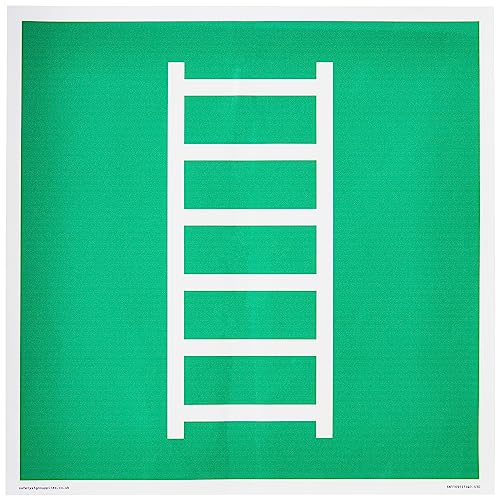 E059 Safe Condition Escape Ladder Sign - 300X300Mm - S30