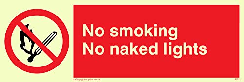 Viking Segni Ps2-L15-P Sign "No Smoking Lampade A Fiamma, Plastica, Semirigida Fotoluminescenti, 50 Mm Altezza X 150 Mm Larghezza