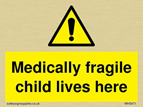 Segni Vichinghi Medically Fragile Child Lives Here Segno – Adesivo In Vinile Dorato