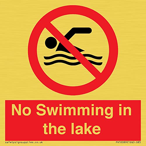 Cartello No Swimming In The Lake - 85 X 85 Mm - S85