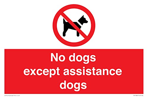 Cartello Con Scritta "No Dog Except Assistance Dog", 300 X 200 Mm, Formato A4L