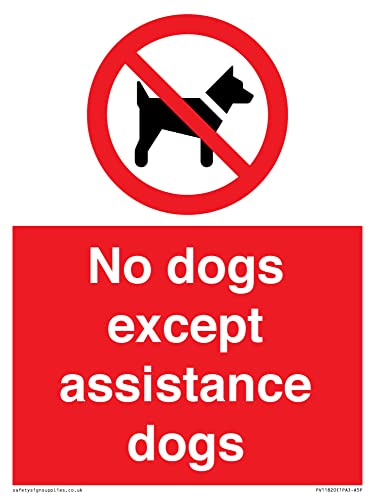 Cartello Con Scritta "No Dog Except Assistance Dog", 150 X 200 Mm, Formato A5P