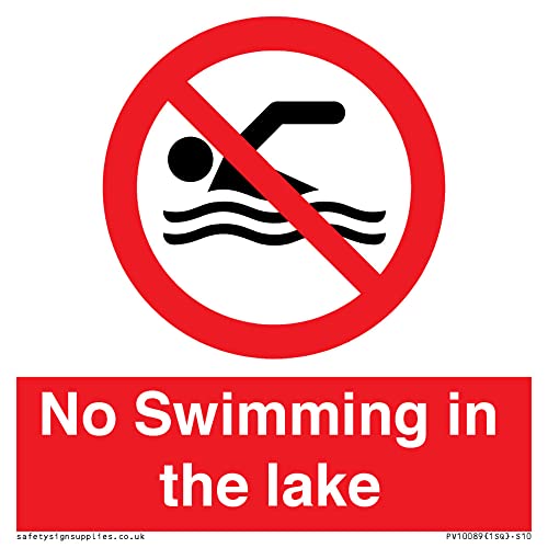 Cartello No Swimming In The Lake - 100 X 100 Mm - S10