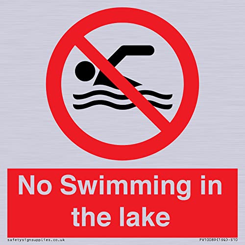 Cartello No Swimming In The Lake - 100 X 100 Mm - S10