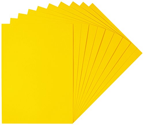 Herlitz 227108 Cartoncino 50 X 70 Cm, 10 Pezzi, Colore Bianco Giallo Sole