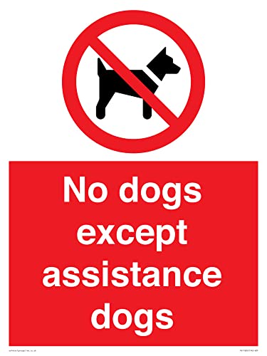 Cartello Con Scritta "No Dog Except Assistance Dog", 300 X 400 Mm, Formato A3P