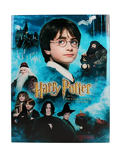 Harry Potter - Impression En Verre - Philosopher'S Stone - 30X40 Cm