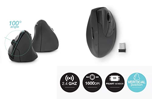 Urban Factory Ergo Mouse Wireless Righthander Mouse