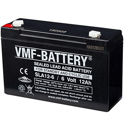 Batteria Fiamm 6V 12 Ah Fg11201 Vrla Agm Ermetica Ups