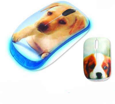 Techmade Tm-Xj10-Tp2 Mouse Usb Ottico 800 Dpi