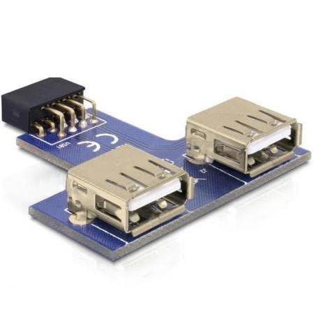 Delock 9-Pin 2.54 Mm/2 X Usb 2.0 1 X 9-Pin 2.54 Mm 2 X Usb 2.0-A Nero, Blu, Argento