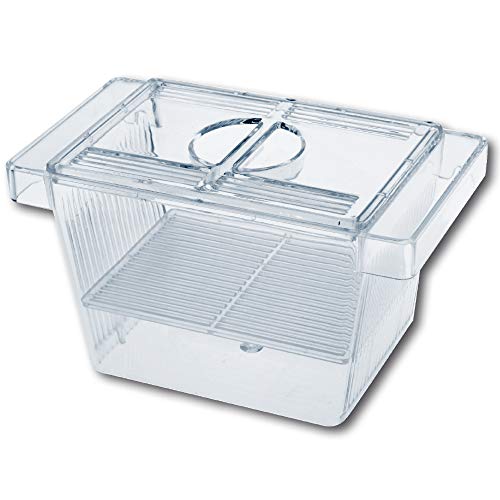 Amtra Sala Parto Acquario 3 In 1 Con Coperchio, Galleggiante, Trasparente, 12X6X6 Cm