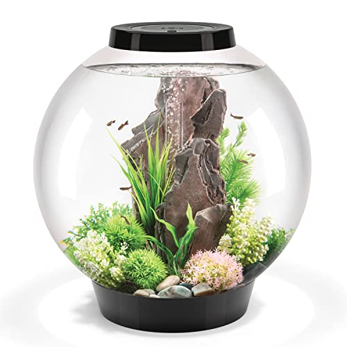 72011 Biorb Classic 60 Led, Negro