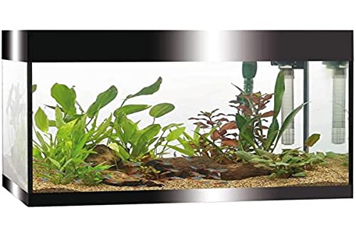 Askoll Aa350050 Pure Acquarium Kit Nero Led 68 Litri - Filtro - Riscaldatore - Timer Luci Led, L, Nero